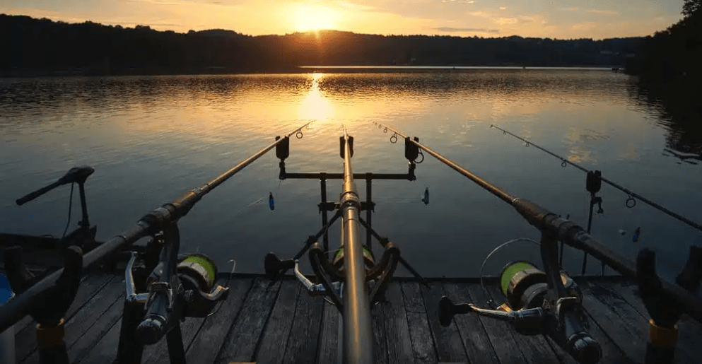 banner-carpfishing